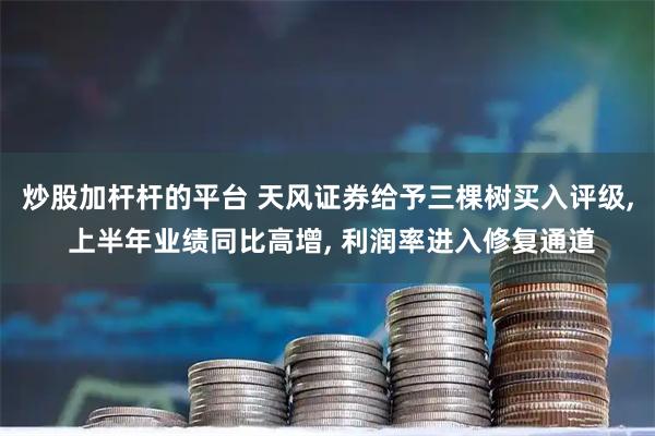 炒股加杆杆的平台 天风证券给予三棵树买入评级, 上半年业绩同比高增, 利润率进入修复通道