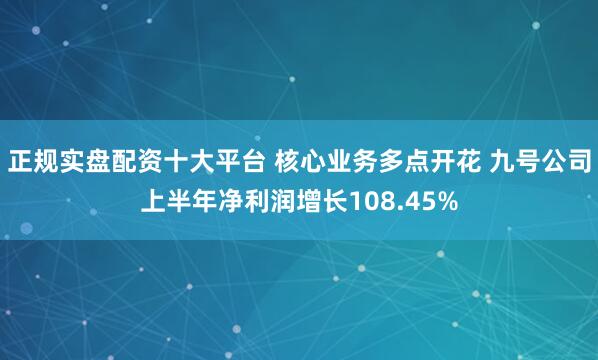 正规实盘配资十大平台 核心业务多点开花 九号公司上半年净利润增长108.45%