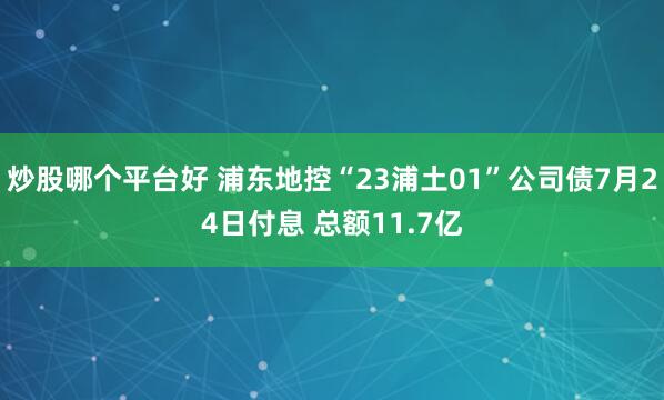 炒股哪个平台好 浦东地控“23浦土01”公司债7月24日付息 总额11.7亿