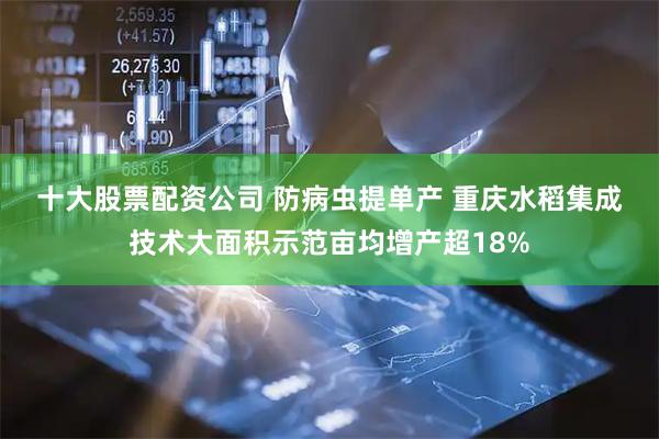 十大股票配资公司 防病虫提单产 重庆水稻集成技术大面积示范亩均增产超18%
